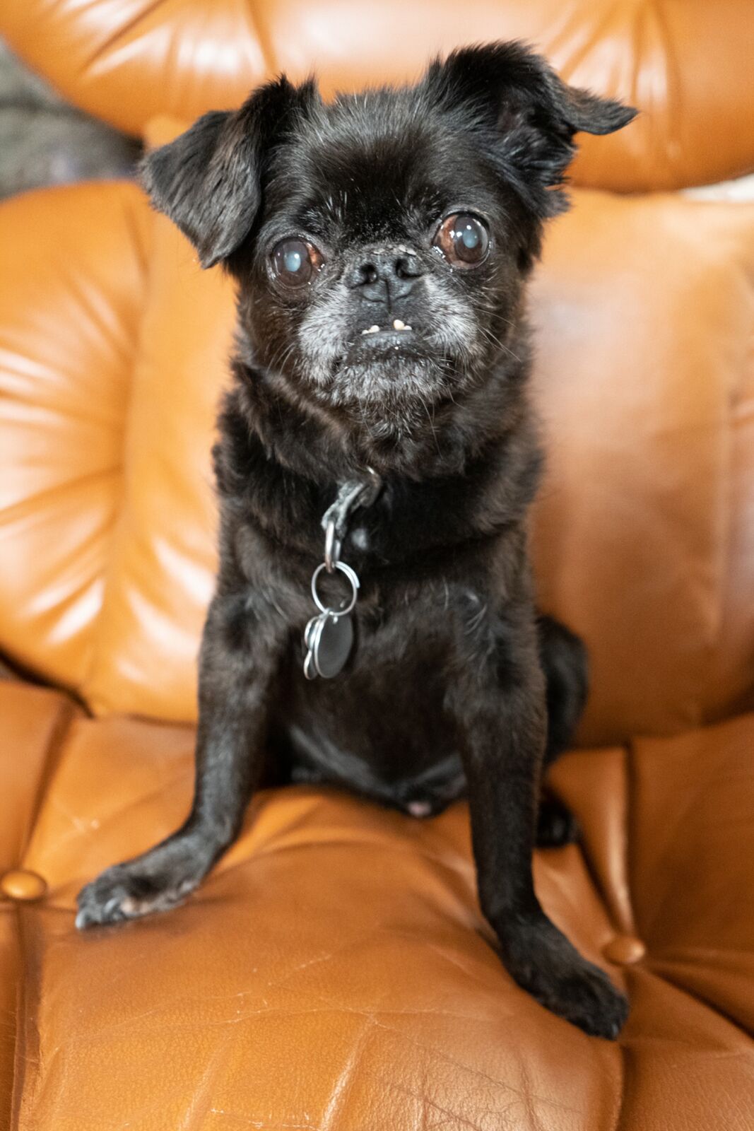 Studio Portrait